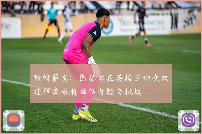 默特萨克：图赫尔在英格兰的受欢迎程度或将面临考验与挑战