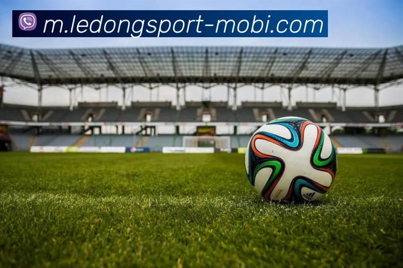 乐动体育平台生态图