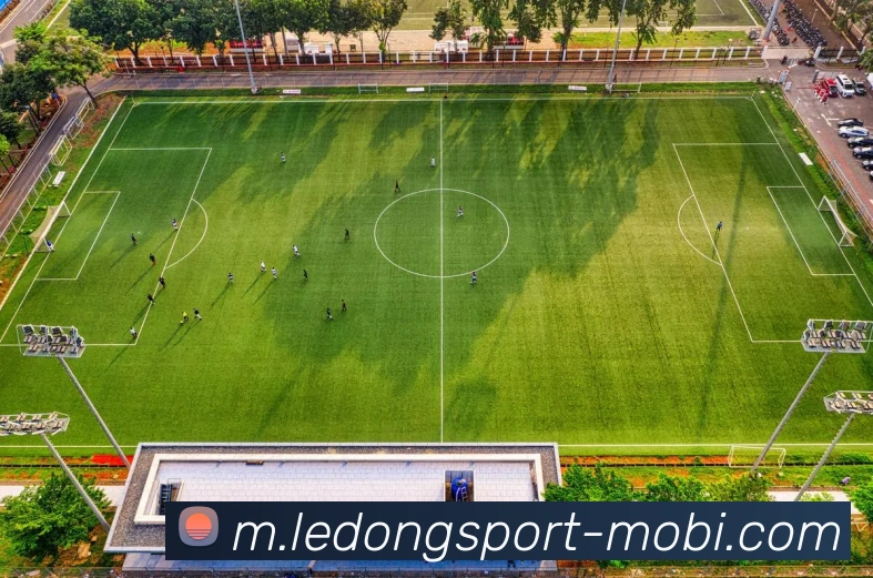 乐动体育APP 封面图